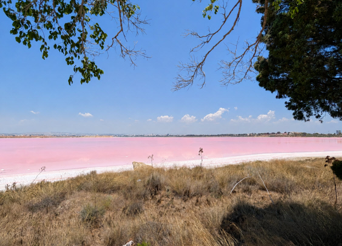 Larnaca Salt Lake, Cyprus